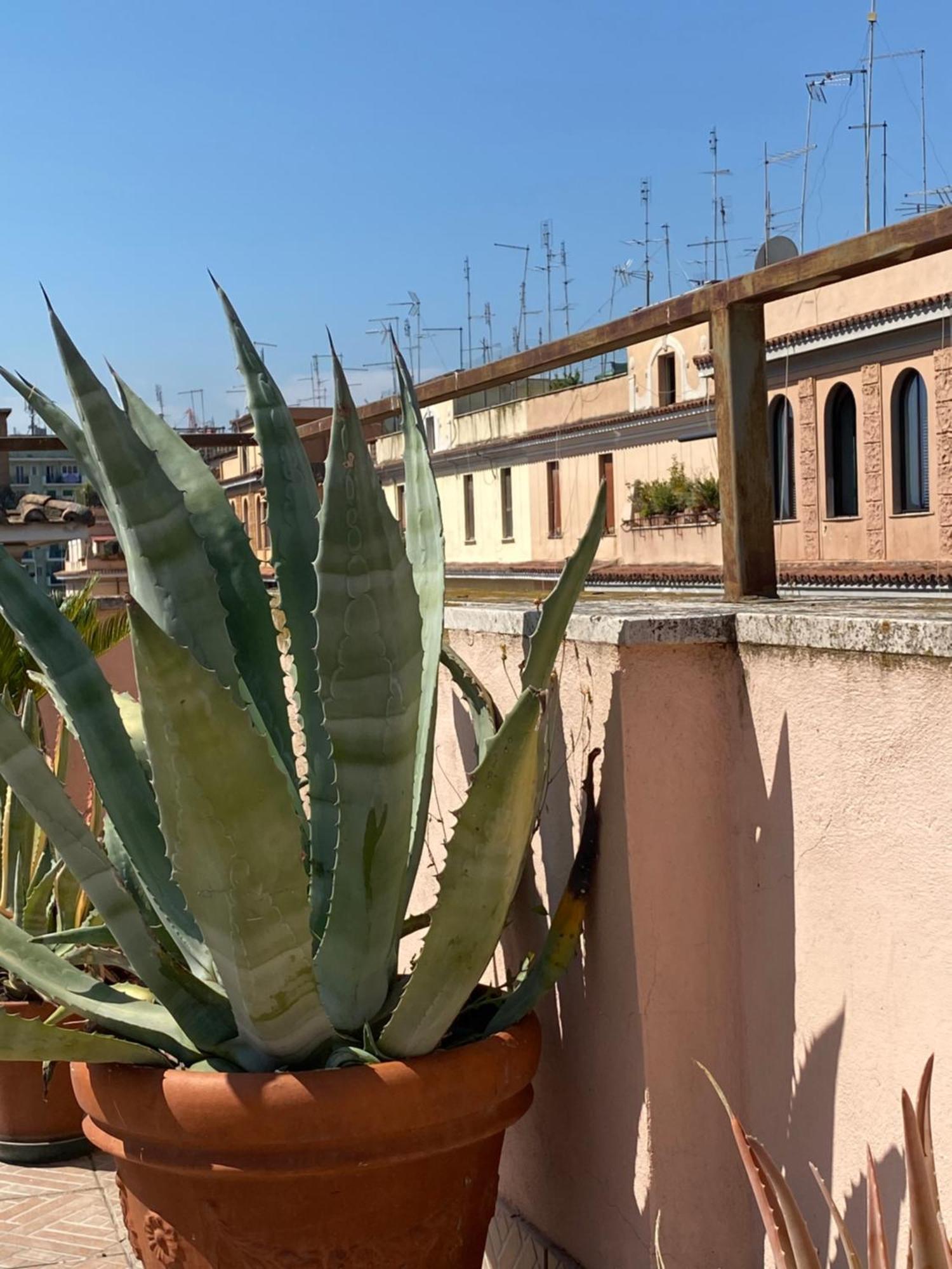 Panoramic Castle Trastevere Lägenhet Rom